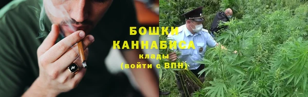 шишки Кулебаки
